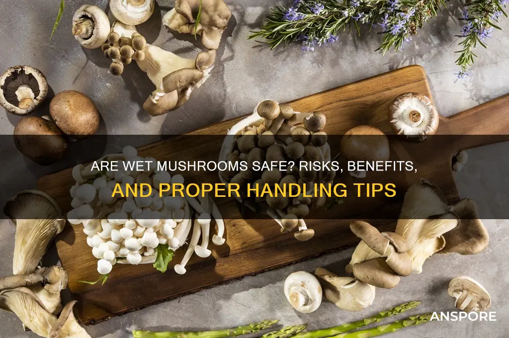 are wet mushrooms safe to eat