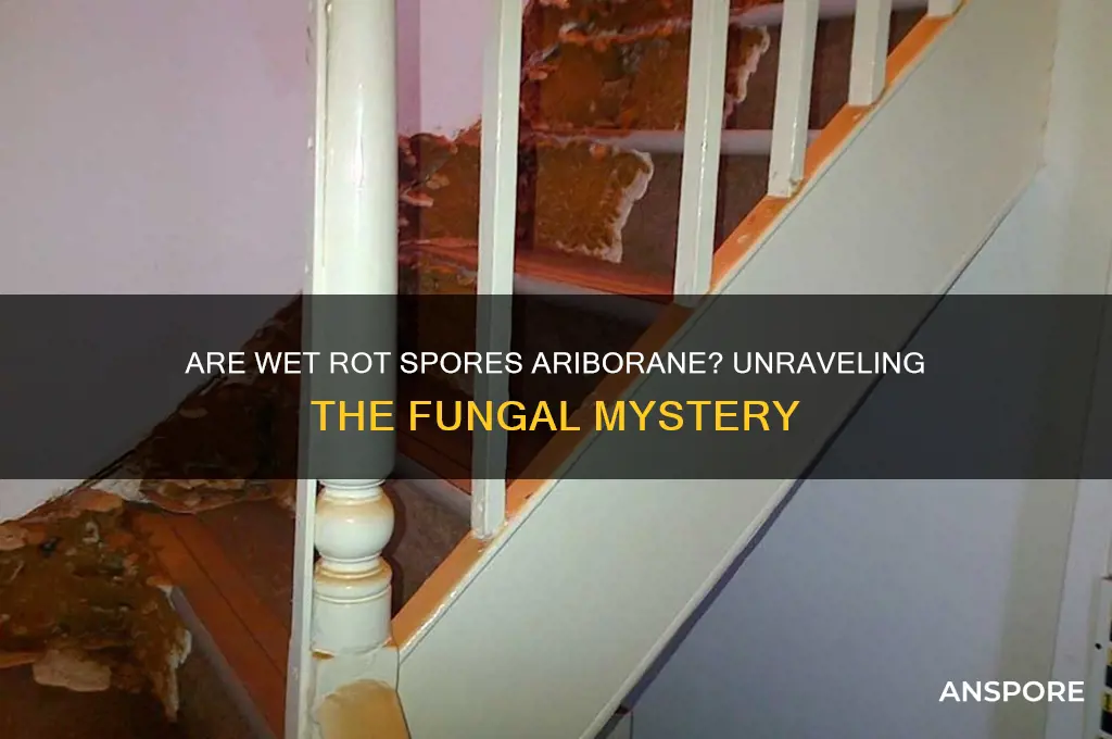 are wet rot spores ariborane