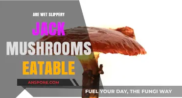 Slippery Jack Mushrooms: Edible or Not?