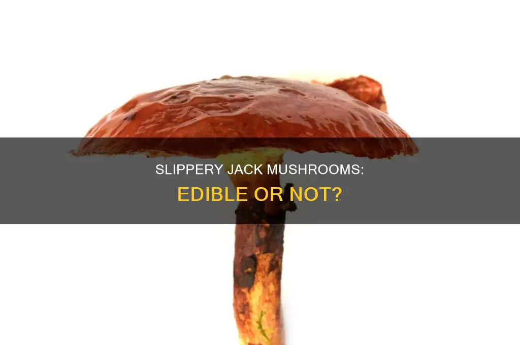 are wet slippery jack mushrooms eatable