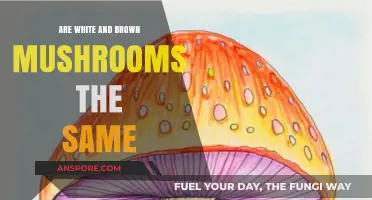 Mushroom Mystery: Are White and Brown Varieties Different?