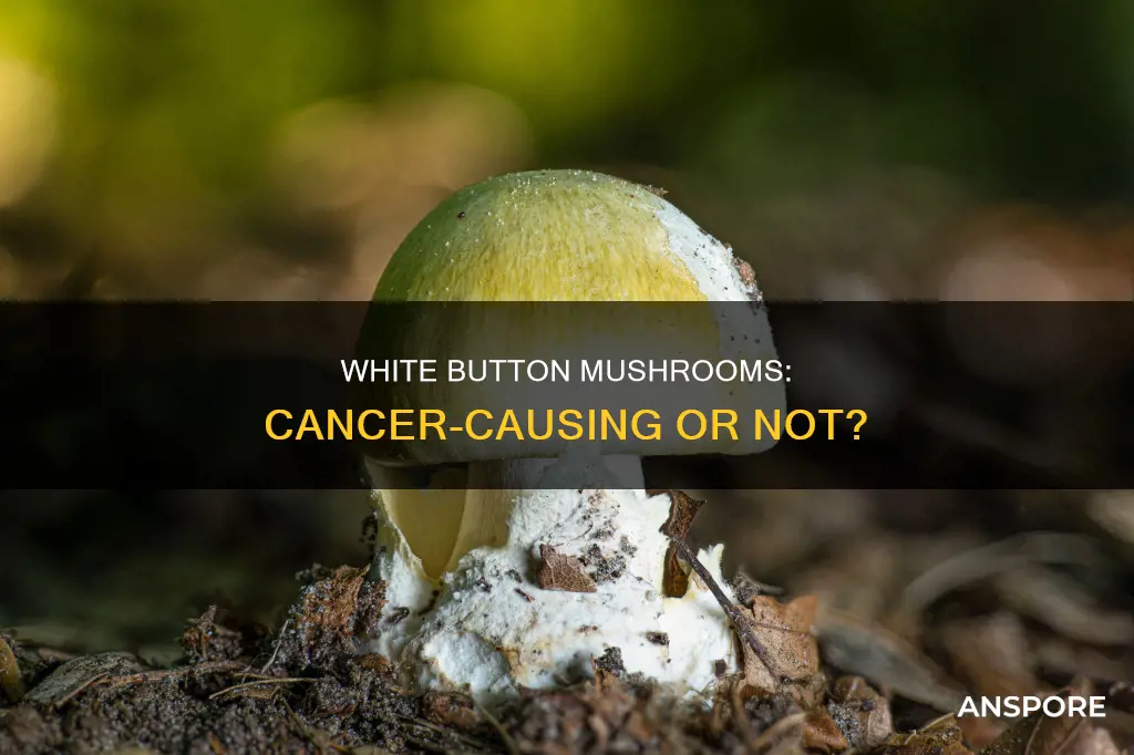 are white button mushrooms carcinogenic