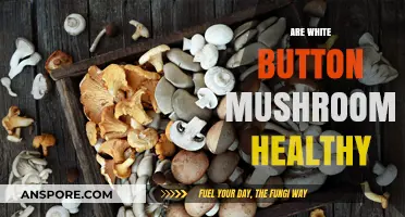 White Button Mushrooms: Superfood or Super-Dull?