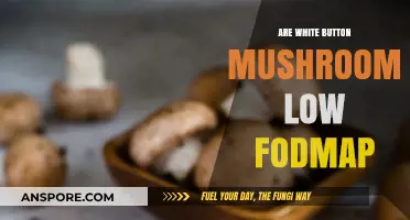 White Button Mushrooms: Low FODMAP Superfood?