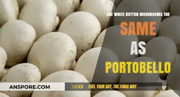 White Button Mushrooms vs. Portobello: Unveiling the Surprising Connection