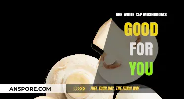 White Cap Mushrooms: Unveiling Their Nutritional Benefits and Health Impact