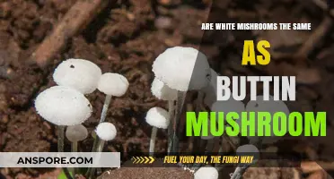 White Mushrooms vs Button Mushrooms: What's the Difference?