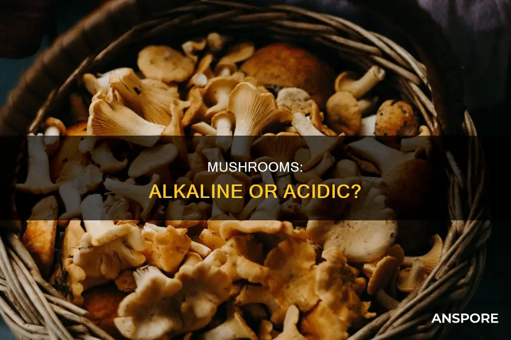 are white mushrooms alkaline