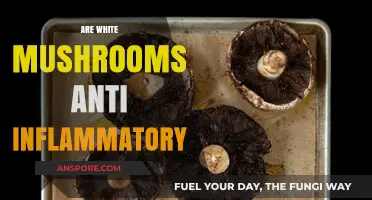 White Mushrooms: Natural Anti-Inflammatory Superheroes?