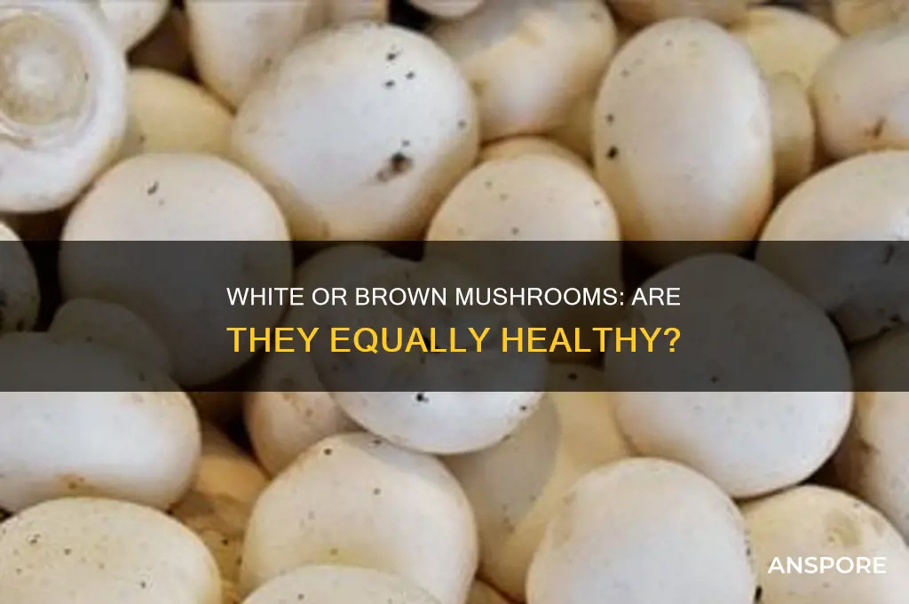 are white mushrooms as they brown ok