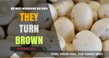 Are Brown White Mushrooms Safe to Eat? The Truth Revealed