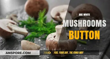 White Mushrooms: Are They Button or Not?