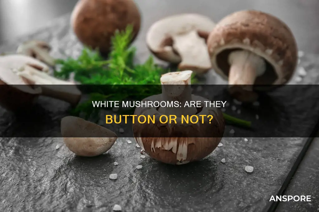 are white mushrooms button