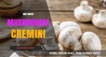 White Mushrooms and Cremini: What's the Difference?