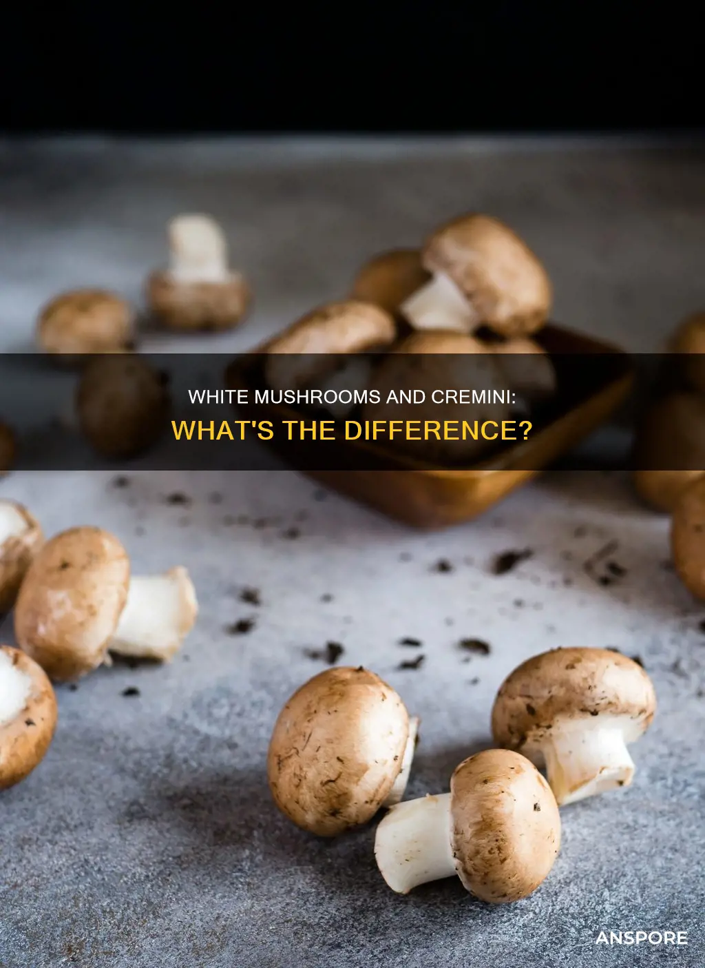 are white mushrooms cremini