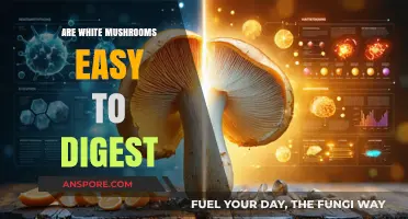 Mushroom Mystery: Are White Mushrooms Easy to Digest?