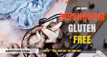 Gluten-Free Diet: Are White Mushrooms Safe?