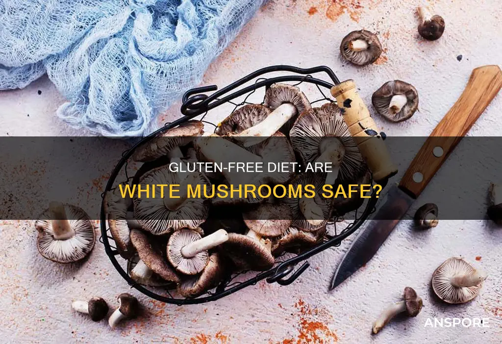 are white mushrooms gluten free