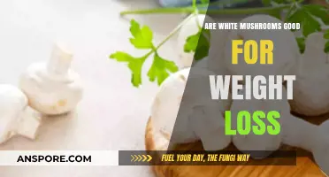 White Mushrooms for Weight Loss: Nutrition, Benefits, and Tips
