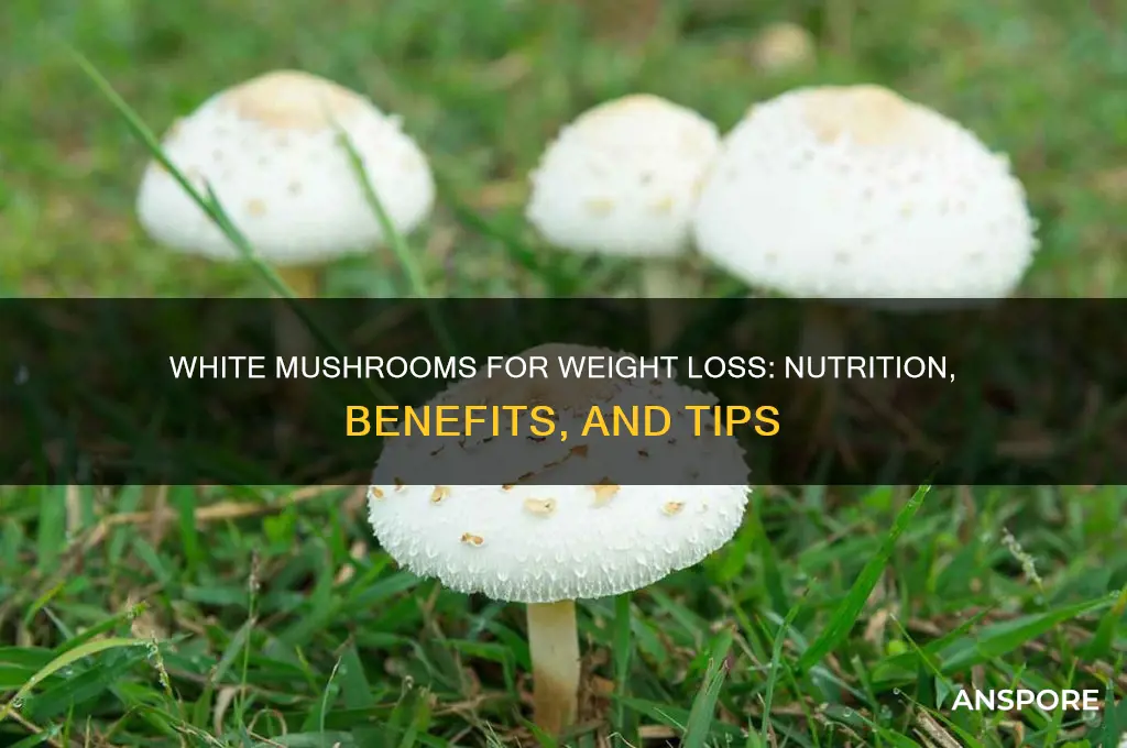 are white mushrooms good for weight loss