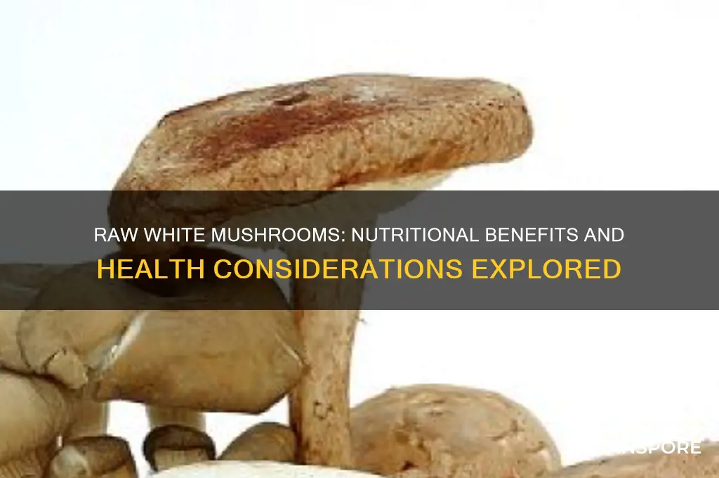are white mushrooms good for you raw