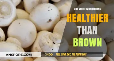 White vs Brown Mushrooms: Which Has More Benefits?