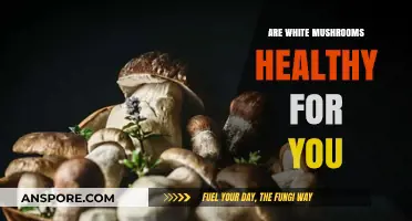 White Mushrooms: Healthy Superfood or Not?