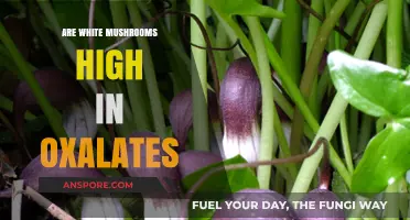 White Mushrooms and Oxalates: What's the Deal?