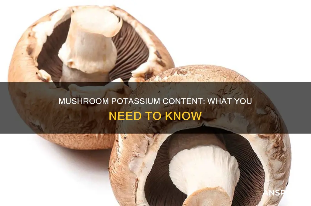 are white mushrooms high in potassium