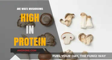 Mushroom Protein Power: Are White Mushrooms a Good Source?