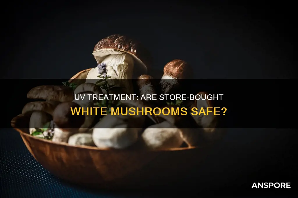 are white mushrooms in store exposed to uv