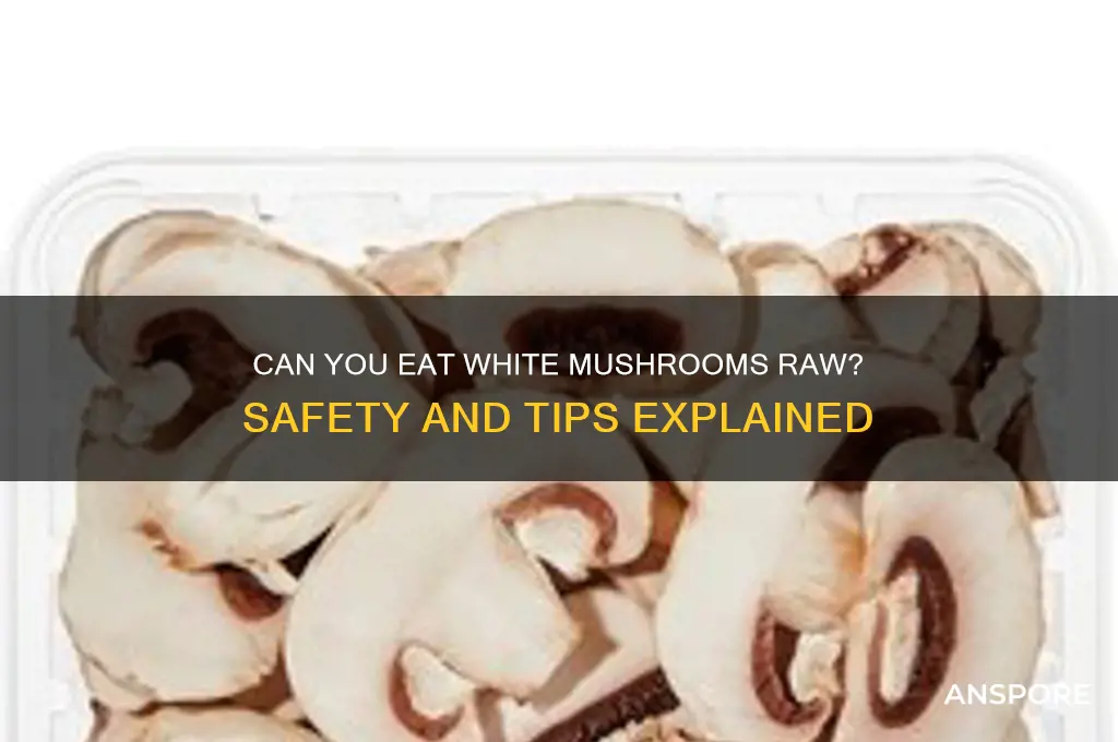 are white mushrooms ok to eat raw