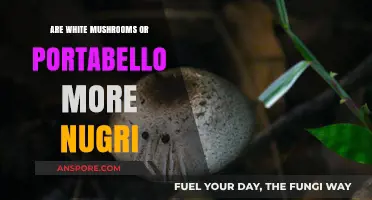 Mushroom Nutrition: White Button vs Portobello