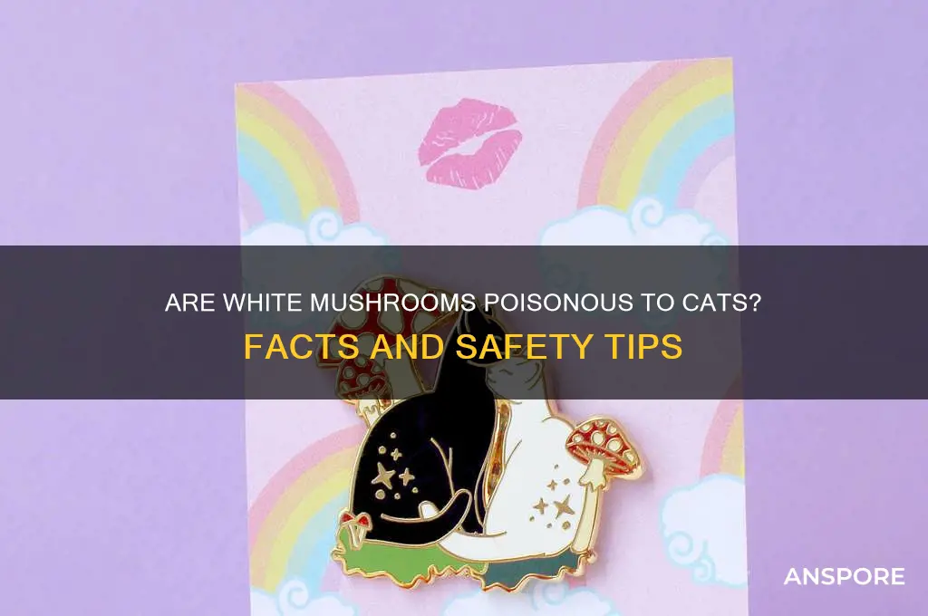 are white mushrooms poisonous to cats