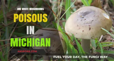 White Mushrooms in Michigan: Poisonous or Not?