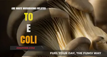 White Mushrooms: E. coli Connection?
