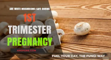 White Mushrooms: Safe Snack Option for Pregnant Women?
