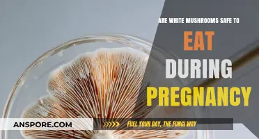 White Mushrooms and Pregnancy: Safe or Risky for Expecting Moms?