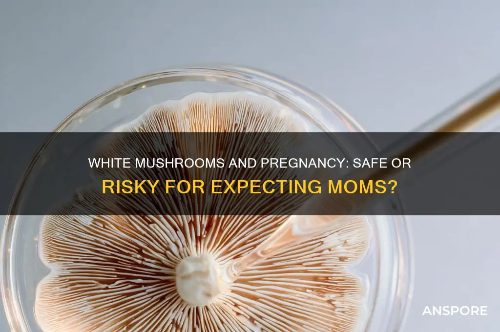 are white mushrooms safe to eat during pregnancy