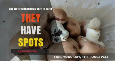 Are Spotted White Mushrooms Safe to Eat? A Guide