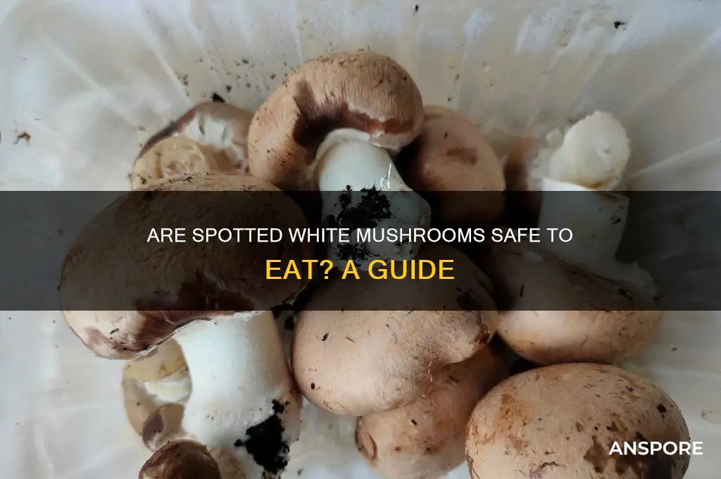 are white mushrooms safe to eat if they have spots