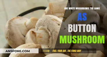 White vs. Button Mushrooms: Unraveling the Culinary Confusion