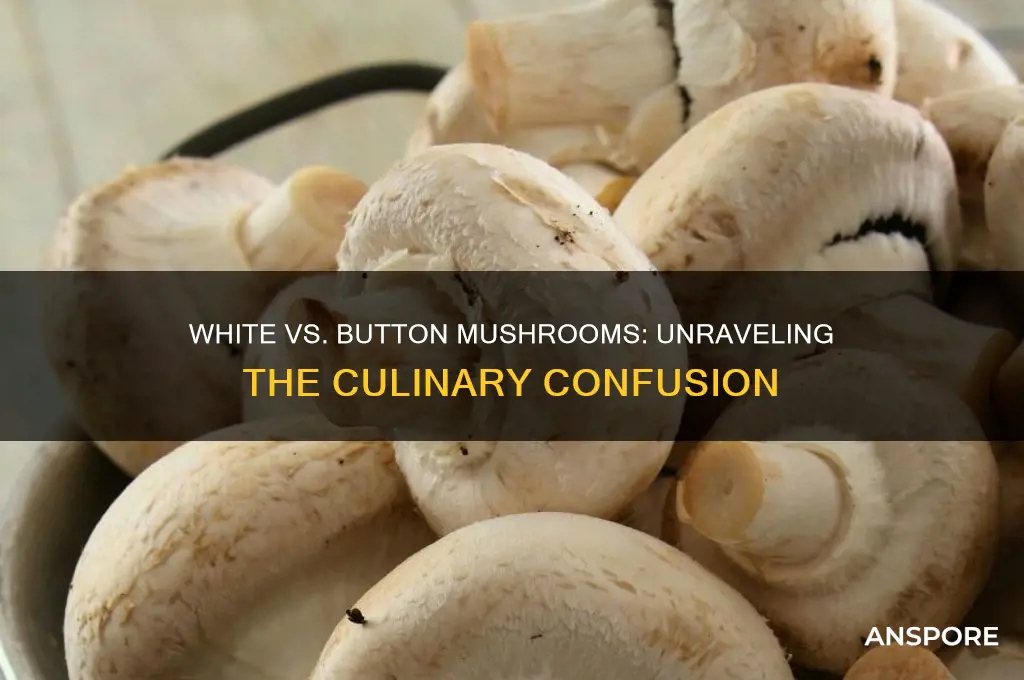 are white mushrooms the same as button mushrooms