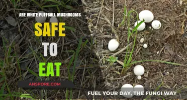 Are White Puffball Mushrooms Edible? A Guide to Safe Consumption