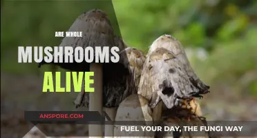 Mushrooms: Alive and Kicking?