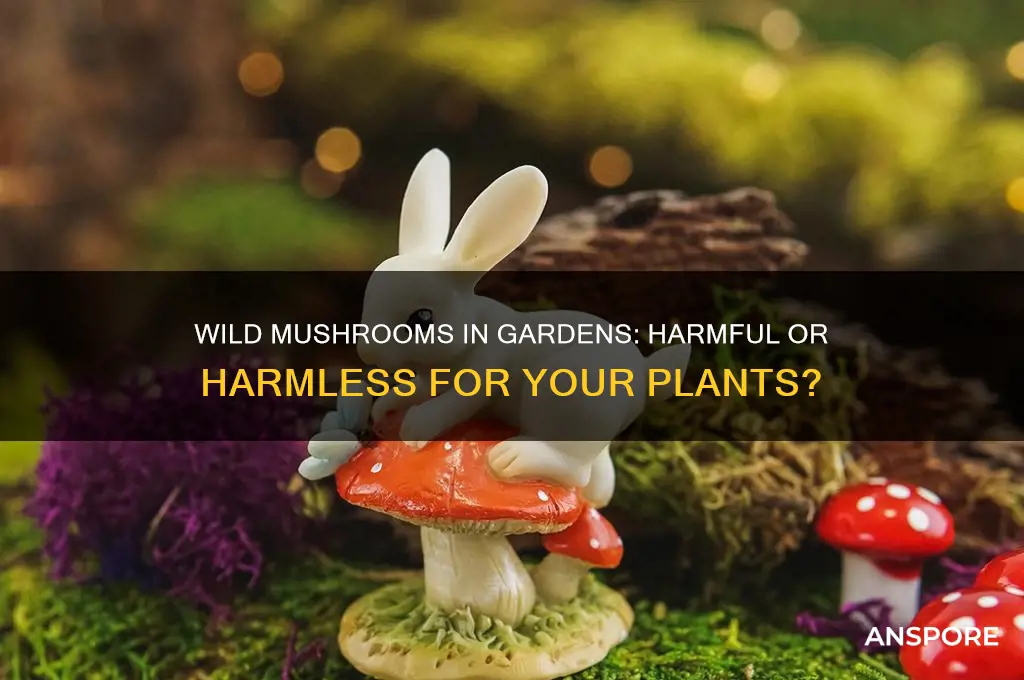are wild mushrooms bad for your garden