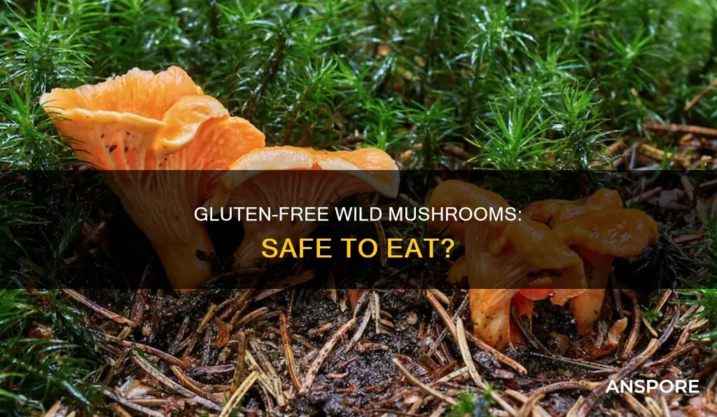 are wild mushrooms gluten free