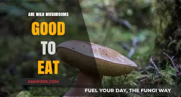 Exploring the Edibility and Risks of Wild Mushrooms: A Guide