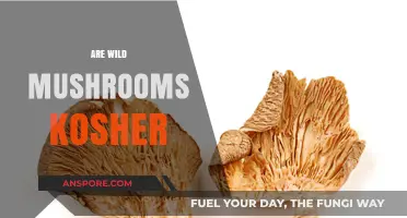 Kosher Wild Mushrooms: What You Need to Know