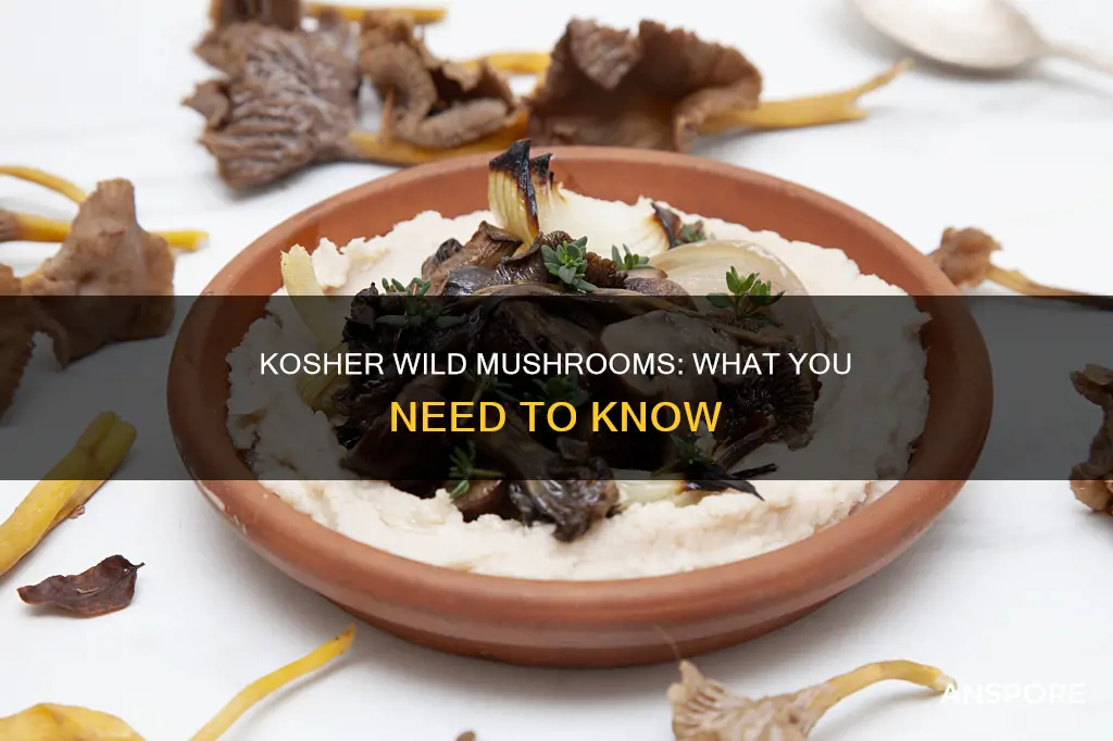 are wild mushrooms kosher